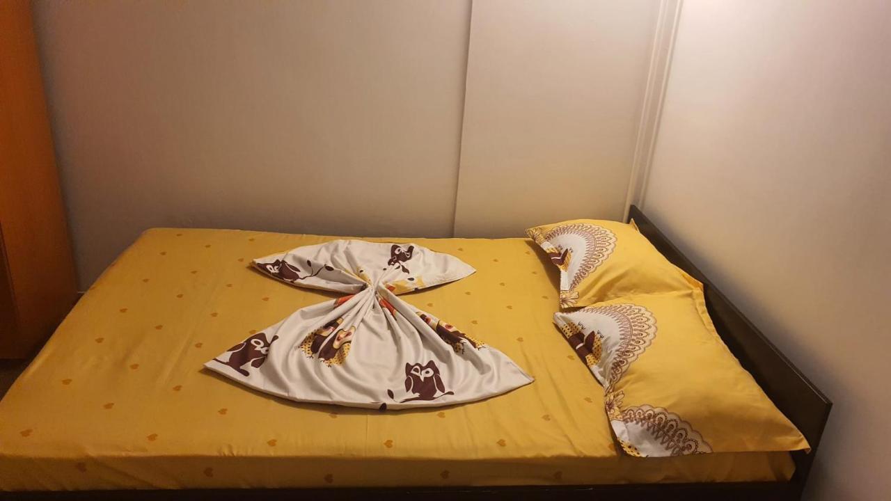 Vila Matei Schitu Esterno foto