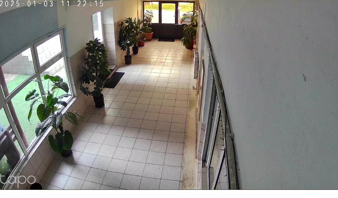 Vila Matei Schitu Esterno foto